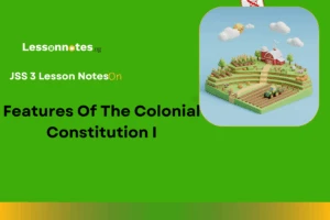 Features Of The Colonial Constitution I