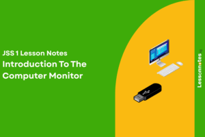 Introduction To The Computer Monitor