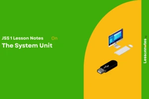 The System Unit