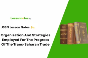 Organization And Strategies Employed For The Progress Of The Trans-Saharan Trade