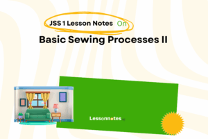 Basic Sewing Processes II - Simple Embroidery or Decorative Stitches & Seam