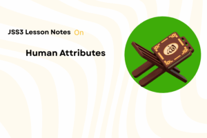 Human Attributes