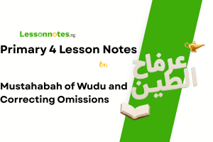 Mustahabah of Wudu and Correcting Omissions