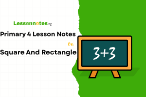 Square And Rectangle