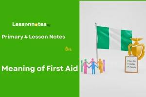 Meaning of First Aid