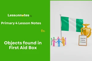 Objects found in First Aid Box