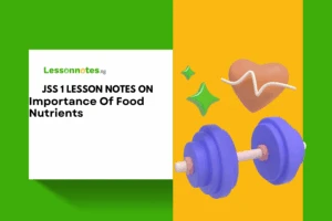 Importance Of Food Nutrients