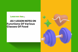 Functions Of Various Classes Of Food