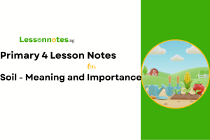 Soil - Meaning and Importance