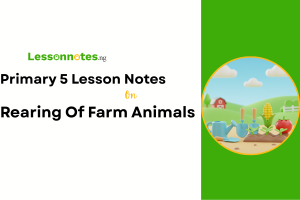 Rearing Of Farm Animals