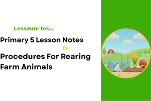 Procedures For Rearing Farm Animals