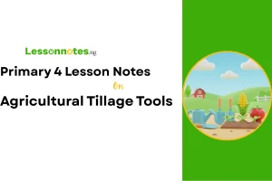 Agricultural Tillage Tools