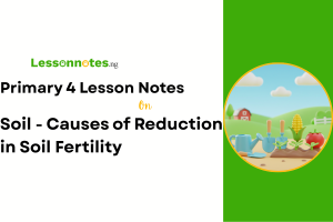 Soil - Causes of Reduction in Soil Fertility