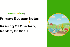 Rearing Of Chicken, Rabbit, Or Snail