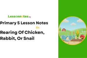 Rearing Of Chicken, Rabbit, Or Snail