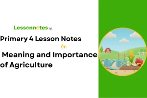 Meaning and Importance of Agriculture