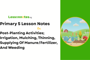 Post-Planting Activities