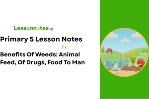 Benefits Of Weeds: Animal Feed, Of Drugs, Food To Man