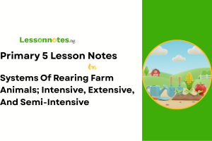 Systems Of Rearing Farm Animals