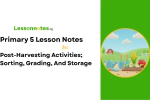 Post-Harvesting Activities; Sorting, Grading, And Storage