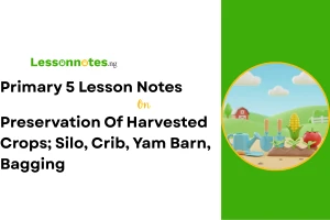 Preservation Of Harvested Crops; Silo, Crib, Yam Barn, Bagging