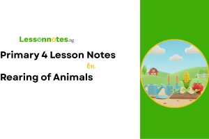 Rearing of Animals