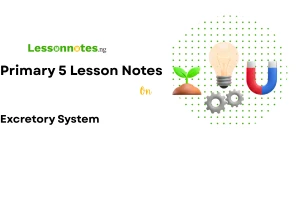 Excretory System