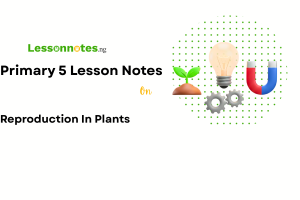 Reproduction In Plants