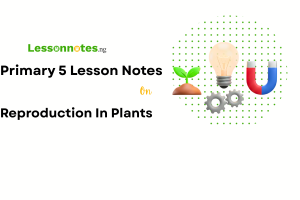 Reproduction In Plants