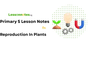 Reproduction In Plants