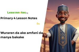 Wuraren da ake amfani da manya bakake