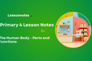 The Human Body - Parts and Functions