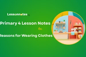 Reasons for Wearing Clothes