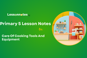 Care Of Cooking Tools And Equipment