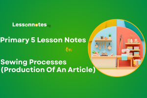 Sewing Processes (Production Of An Article)