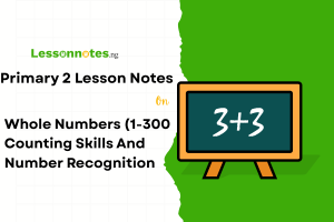 Whole Numbers (1-300 Counting Skills And Number Recognition)