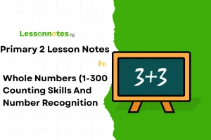 Whole Numbers (1-300 Counting Skills And Number Recognition)