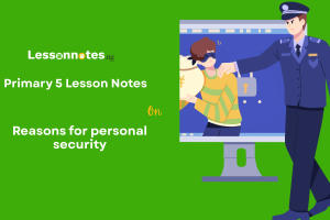 Reasons for personal security