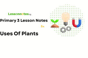 Uses Of Plants
