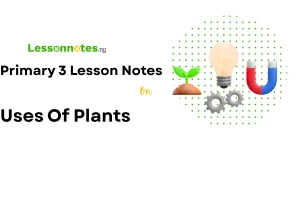 Uses Of Plants
