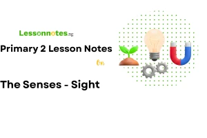 The Senses - Sight