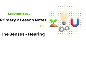 The Senses - Hearing