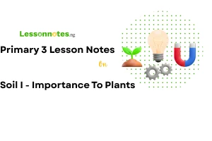 Soil I - Importance To Plants