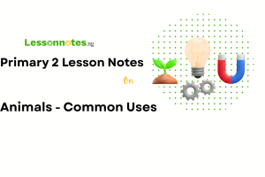 Animals - Common Uses