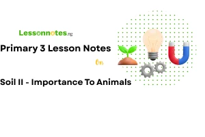 Soil II - Importance To Animals
