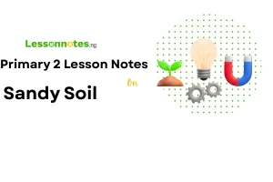 Sandy Soil