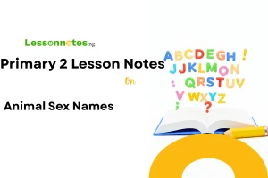 Animal Sex Names