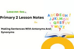 Making Sentences With Antonyms And Synonyms