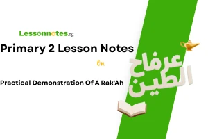 Practical Demonstration Of A Rak'ah