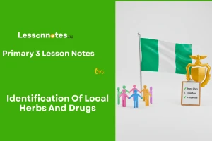Identification Of Local Herbs And Drugs